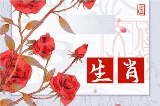 如何通过五宫星座分析精准定位个人性格特点